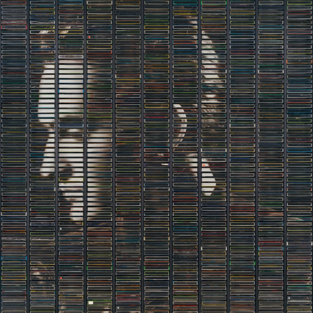 Stephen Eicher – Poussière d’Or