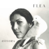 Flea – Honora
